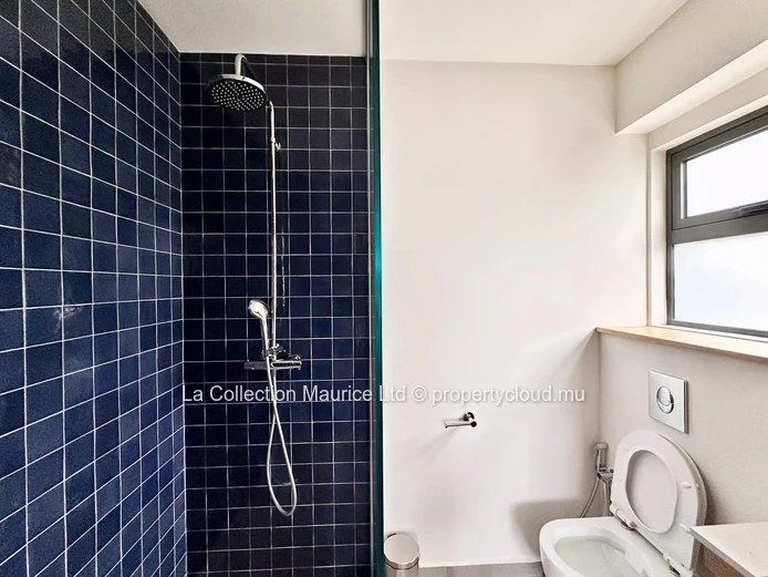 Appartement I Rivière Noire I Vue Panoramique