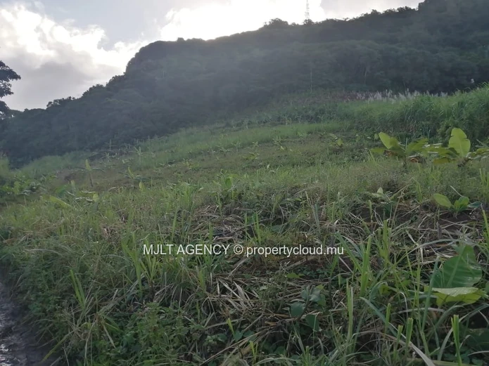 Agricultural land - 6450 m² Surinam, South