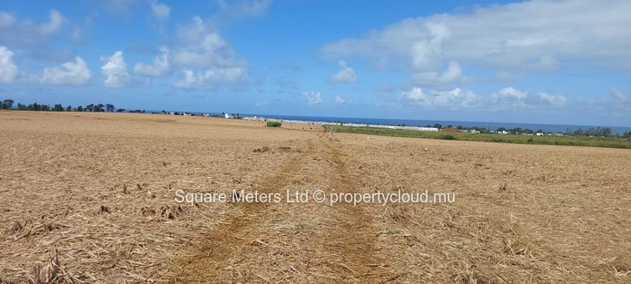 Terrain agricole à vendre Souillac (Mandat exclusif)
