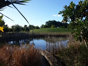 Residential Land