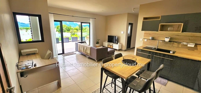 To rent: This charming contemporary furnished and equipped apartment of 108 m² in Helvétia 