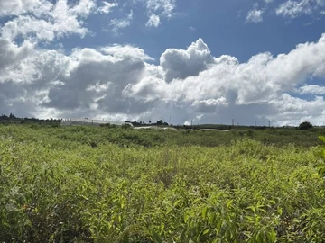 Agricultural Land
