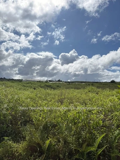 Terrain agricole 3,63 ha à Espérance — Sentier et vue montagne