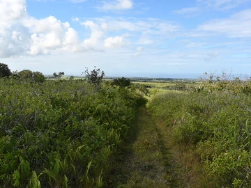 Terrain Agricole