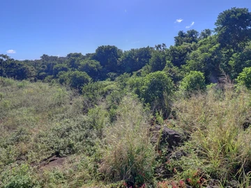 Agricultural Land