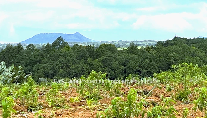 Land with wonderful nature view