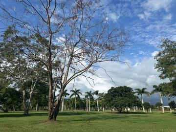 Residential Land