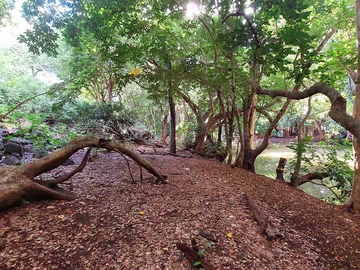 Residential Land