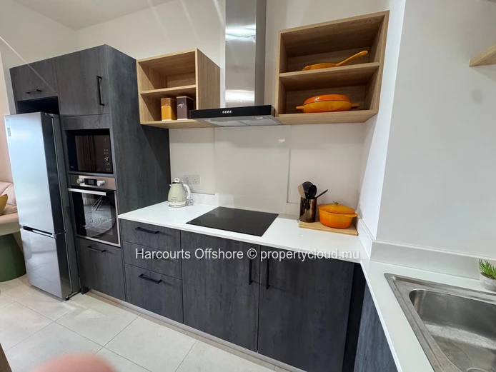 Brand-New Top-Floor 1-Bedroom Apartment for Rent in Indigo Apartments