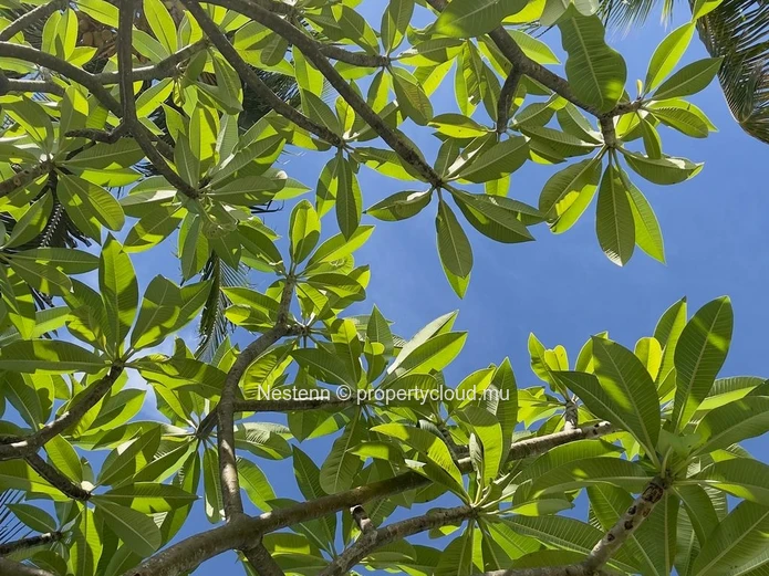 706 m² residential plot  – Coastal Living Within Reach