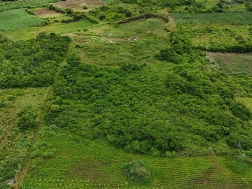 Terrain Agricole