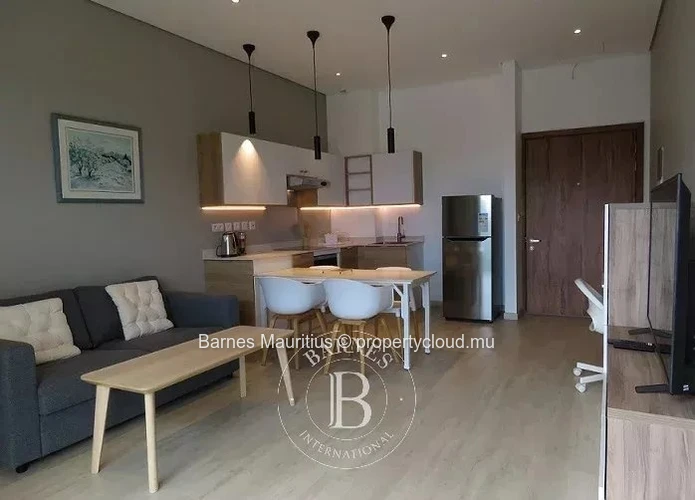 RÉDUIT - Penthouse neuf avec ascenseur - 1 chambre