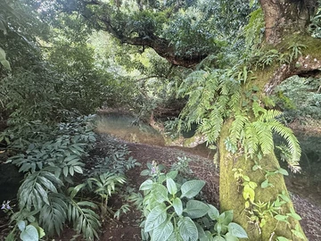 Agricultural Land