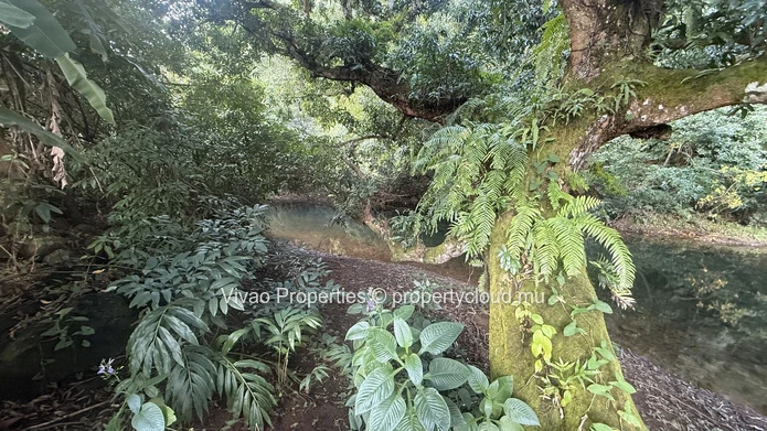 20,466sqm Prime Agricultural Land for Sale in L'Escalier - Rs