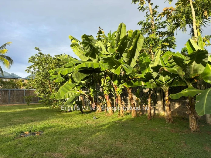 Beautiful 1,160 m² Residential Plot Ready to Build On – Tropical Garden Oasis for Mauritian Citizens