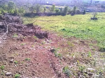 Terrain Agricole