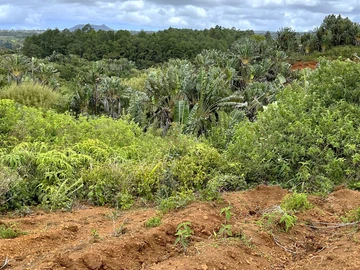 Agricultural Land