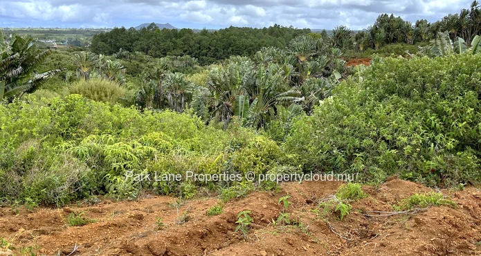 Land with wonderful nature view