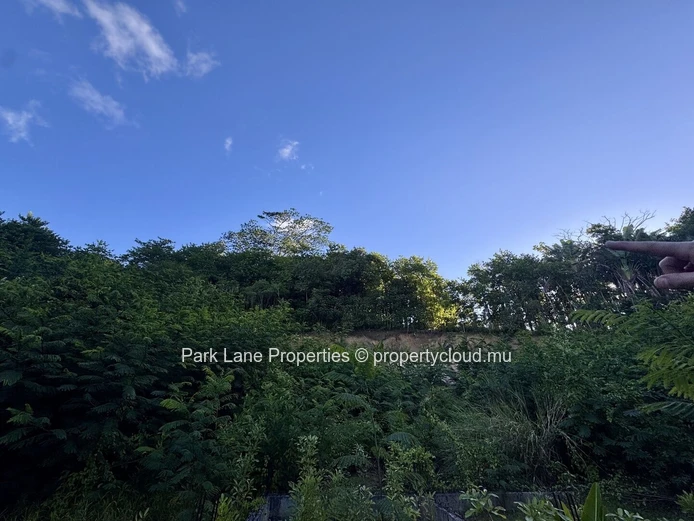 Agricultural plot for sale in Chamarel