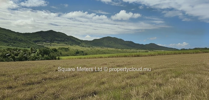 Terrain agricole de 2 406 m² à vendre à Anse Jonchée (Mandat exclusif)