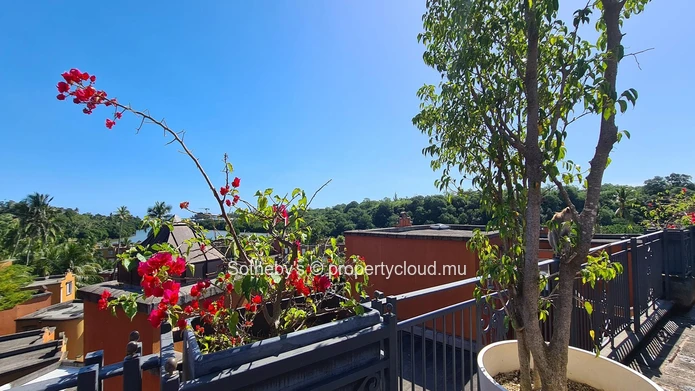Encantadora Rental
