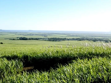 Land