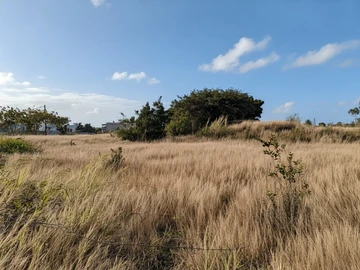 Residential Land