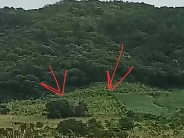 Agricultural Land