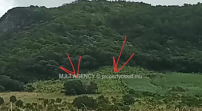 Agricultural land - 6450 m² Surinam, South