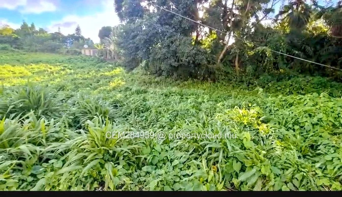 Terrain Exceptionnel à Vendre à Curepipe 