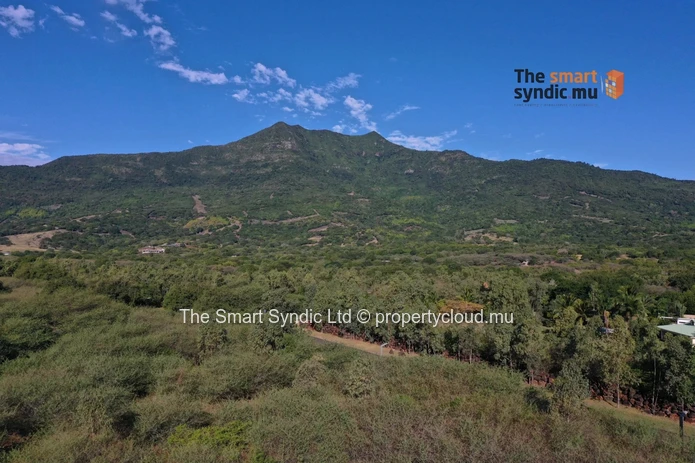 Luxury 4-Bedroom Villas – A Refined Living Experience in the Heart of Nature