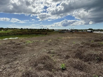 Terrain
