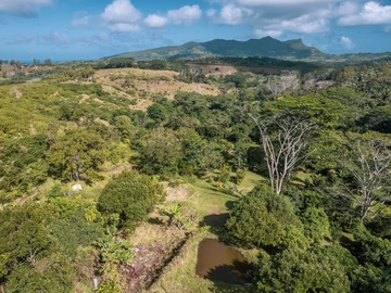 Terrain Agricole