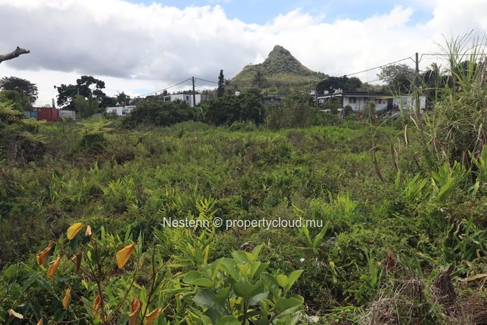Terrain de 49 Perches, vue imprenable sur la montagne, idéal pour votre maison de rêve ou pour un investissement.