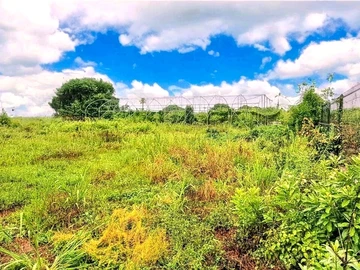 Agricultural Land For Sale In Laventure, Flacq