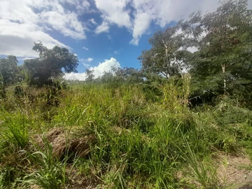 Residential Land