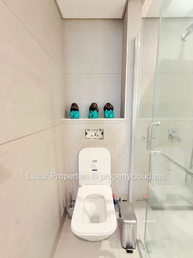 FOR RENT | 3-Bedroom Luxury Penthouse – Pointe aux Canonniers