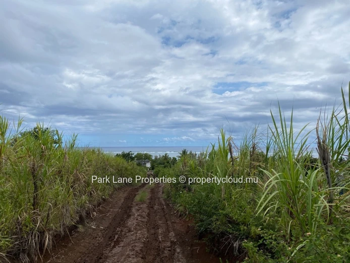 Large plot for future development