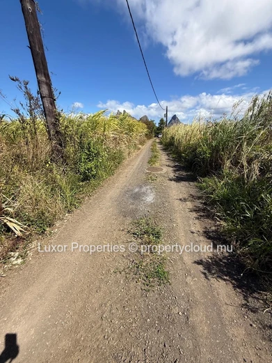AGRICULTURAL LAND FOR SALE – Vacoas La Caverne