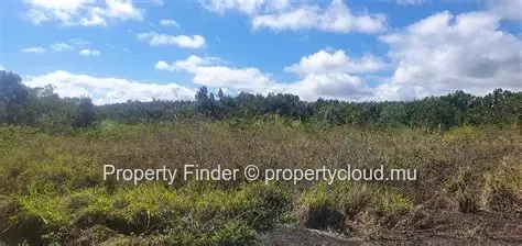 Agricultural Land for Sale in Mare Longue