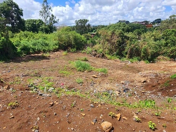 Land