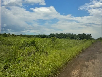 Agricultural Land