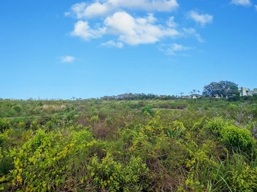 Terrain