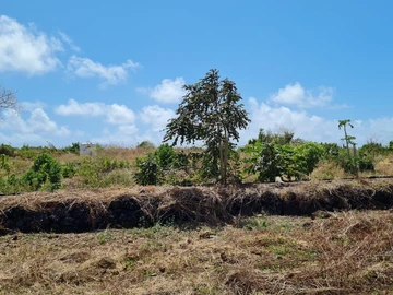 Terrain Agricole