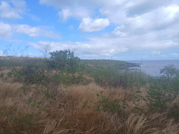 Residential Land