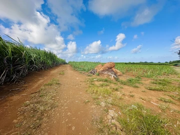 Terrain Agricole