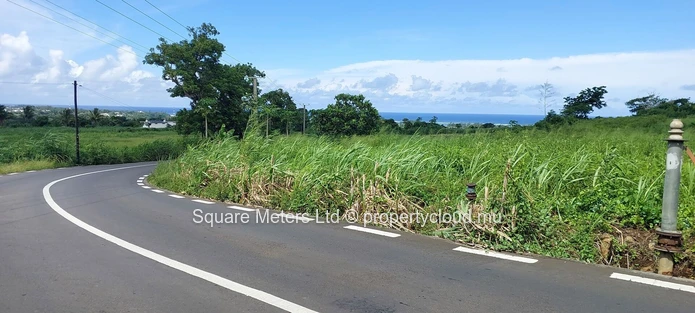 Agricultural Land With Uninterrupted Sea & Mountain Views - La Martiniere (Surinam) (Sole Mandate)