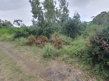 Land
