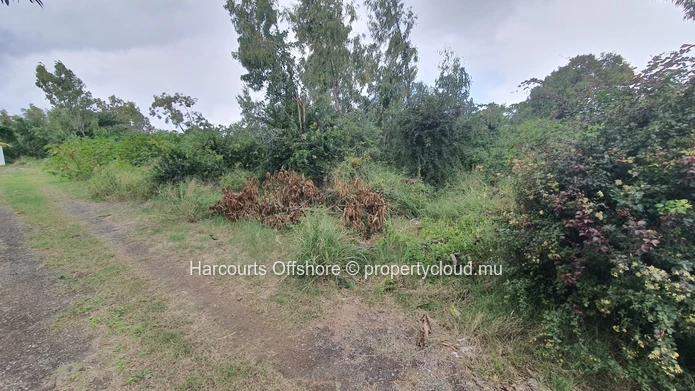 151 m² Road-front Plot with Mature Trees — Amaury