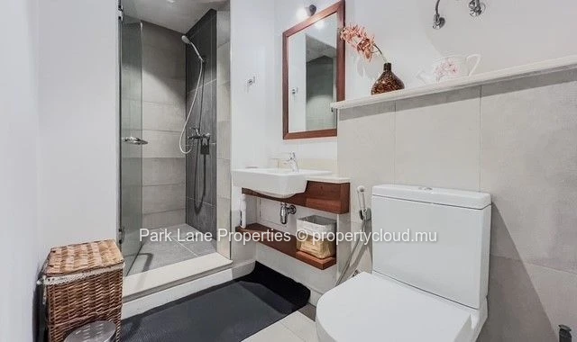Modern & elegant studio in the heart of Ebène – Prime investment opportunity